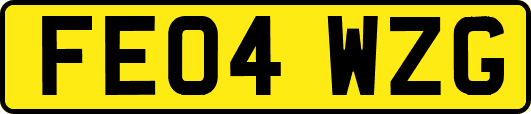 FE04WZG