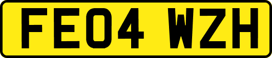 FE04WZH