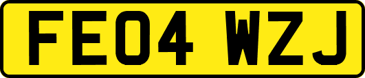 FE04WZJ
