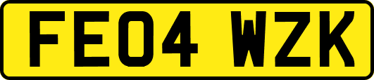 FE04WZK