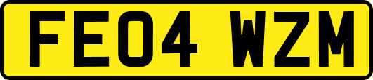 FE04WZM