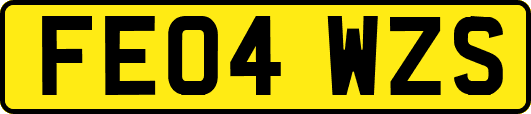 FE04WZS