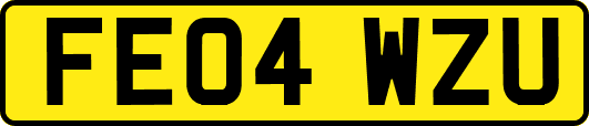 FE04WZU