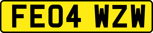 FE04WZW