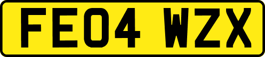 FE04WZX