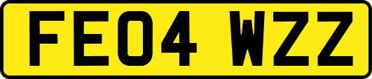 FE04WZZ