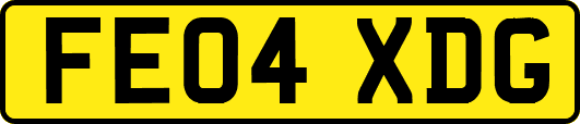 FE04XDG