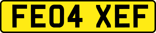 FE04XEF