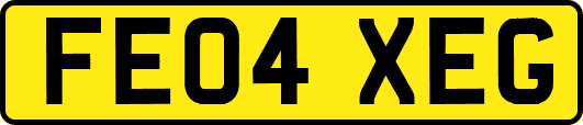FE04XEG