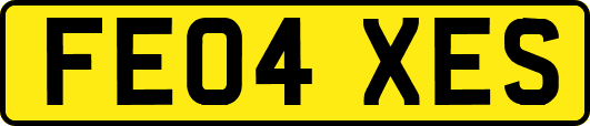 FE04XES