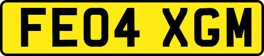 FE04XGM