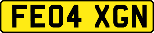 FE04XGN