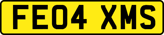 FE04XMS