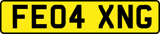 FE04XNG