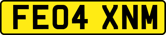 FE04XNM