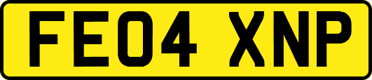 FE04XNP