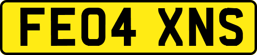 FE04XNS