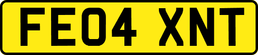 FE04XNT