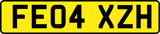 FE04XZH