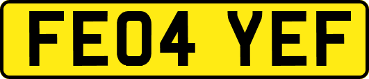 FE04YEF