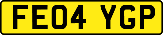 FE04YGP