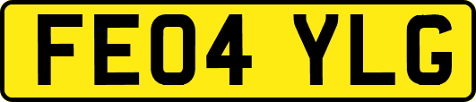 FE04YLG