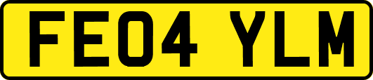 FE04YLM