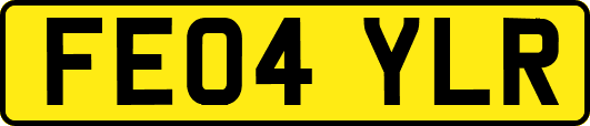 FE04YLR