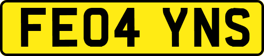 FE04YNS