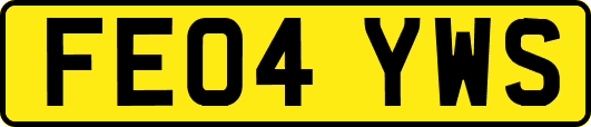 FE04YWS