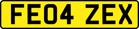 FE04ZEX
