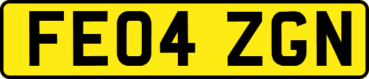 FE04ZGN
