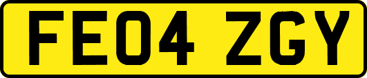 FE04ZGY