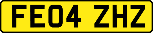 FE04ZHZ