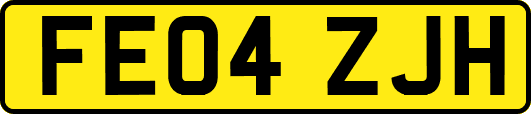 FE04ZJH