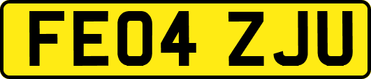 FE04ZJU