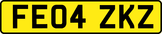 FE04ZKZ