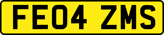 FE04ZMS