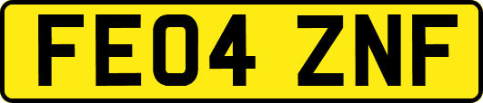 FE04ZNF