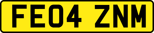FE04ZNM