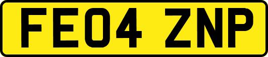 FE04ZNP