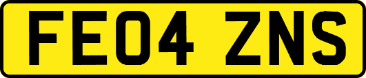 FE04ZNS