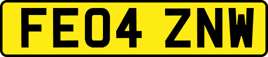 FE04ZNW