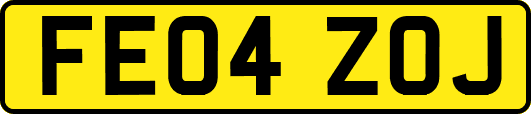 FE04ZOJ