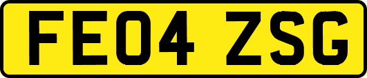 FE04ZSG