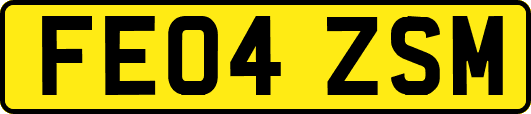 FE04ZSM