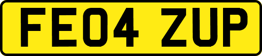 FE04ZUP