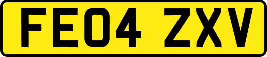 FE04ZXV