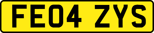 FE04ZYS