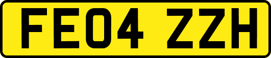 FE04ZZH
